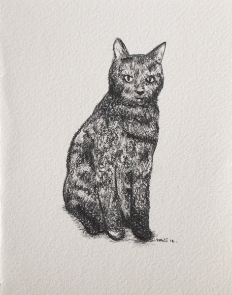 Cat drawing dan smith 003